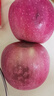 靜寧蘋(píng)果 【順豐到家】甘肅紅富士蘋(píng)果 現摘當季新鮮水果蘋(píng)果源頭直發(fā)包郵 優(yōu)選凈重8斤果王單果300g+ 曬單實(shí)拍圖