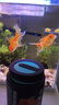 BESSN貝森食蘭壽金魚(yú)專(zhuān)用飼料【上浮飼料】金魚(yú)700ML小顆粒2MM 曬單實(shí)拍圖