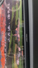 聯(lián)想（Lenovo）小新平板12.1 天璣64002.5K超清護(hù)眼大屏  10200mAh長續(xù)航 影音娛樂學(xué)習(xí) 旗艦AI性能 8+128G銀 曬單實拍圖