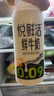 君樂寶悅鮮活鮮牛奶 260ml*10瓶低溫鮮奶生牛乳巴氏殺菌源頭直發(fā)包郵 曬單實(shí)拍圖