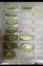 三全兒童水餃 蝦仁胡蘿卜口味300g42只 果蔬和面速凍餃子兒童早餐 曬單實(shí)拍圖