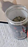 信盛堂北京同仁堂墨紅玫瑰花茶100克云南大朵凍干無(wú)硫重瓣紅玫瑰養生茶 曬單實(shí)拍圖