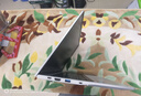 宏碁（Acer）新品優(yōu)躍 Pro plus非凡GO 14 13代酷睿標(biāo)壓輕薄本辦公筆記本電腦 HQ11A 14英寸/i7-13620H/IPS屏170°廣視 16G丨1TB PCI-e 曬單實拍圖