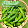 京地達湖南樟樹(shù)港辣椒 凈重2斤  鮮辣清香 新鮮蔬菜源頭直發(fā)包郵 曬單實(shí)拍圖