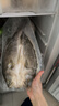 鮮京采三去海鱸魚3斤/3條 生鮮魚類 白蕉鱸魚地標 中秋家宴魚類源頭直發(fā) 曬單實拍圖