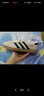 adidas「T頭鞋」VL COURT 2.0復(fù)古休閑板鞋德訓(xùn)鞋阿迪達斯輕運動   深藍/粉藍/樹脂黃(推薦女生選小半碼)   42 曬單實拍圖