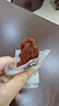 新邊界（new boundaries）阿克蘇蘋(píng)果干500g 高膳食纖維獨立包裝新疆冰糖心無(wú)核蘋(píng)果肉零食 曬單實(shí)拍圖