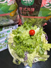一號農場(chǎng)開(kāi)袋即食意式風(fēng)情沙拉150g*3混合蔬菜沙拉包輕食健身代餐源頭直發(fā) 曬單實(shí)拍圖