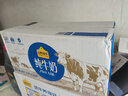 認養一頭牛純牛奶250ml*15盒 學(xué)生早餐純奶整箱 京東自營(yíng)超市中秋禮贈一提裝 曬單實(shí)拍圖