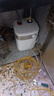 Midea美的小廚寶5/6.6/7.6升儲水式熱水寶廚房家用熱水器小型迷你臺下 F05-15A2(S) 5升二級能效 曬單實(shí)拍圖