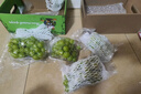 京鮮生 陽(yáng)光玫瑰葡萄 青提6斤禮盒裝 單果約10g 生鮮水果 中秋禮盒 曬單實(shí)拍圖