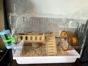 金絲熊籠子倉鼠籠超大亞克力透明別墅防啃咬飼養箱豪華大號專(zhuān)用屋 【透明籠】木屋套裝 曬單實(shí)拍圖