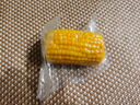 失重密碼水果玉米段2.4斤 1200g/袋 開(kāi)袋即食東北 新鮮甜玉米真空低脂早餐 曬單實(shí)拍圖