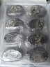 靈略 鮮凍大鮑魚(yú) 凈重800g 16粒盒裝 鮑魚(yú)火鍋燒烤  貝類(lèi)海鮮 生鮮 曬單實(shí)拍圖