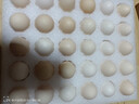 無抗鮮雞蛋 谷物喂養(yǎng)鮮雞蛋 單枚50g-60g 早餐食材 蛋香味十足 30枚裝 曬單實拍圖