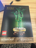 樂(lè )高（Lego）ICONS系列 10344富貴竹送女生裝飾擺件拼搭積木玩具禮物 曬單實(shí)拍圖