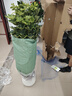 愛優(yōu)尚幸福樹盆栽客廳室內大型綠植辦公室喬遷新家綠寶凈化空氣源頭直發(fā) 曬單實拍圖