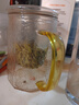 雅集筑茗玻璃茶杯茶水分離玻璃杯帶蓋帶玻璃內(nèi)膽辦公家用耐熱泡茶杯 曬單實(shí)拍圖