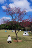 Masata新加坡進(jìn)口驅(qū)蚊噴霧防蚊叮咬嬰兒童驅(qū)蚊液基孔肯雅熱花露水100ml 曬單實(shí)拍圖