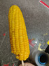 云南新鮮水果玉米甜嫰多汁現摘現發(fā)新鮮蔬菜營(yíng)養早餐代餐戶(hù)外旅行 帶箱2斤 2-4根 曬單實(shí)拍圖