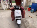 電動(dòng)車(chē)貼紙裝飾品防水防曬車(chē)身小配件可愛(ài)臺鈴愛(ài)瑪雅迪電瓶車(chē)貼畫(huà) 單張開(kāi)心眼睛貼18cm 曬單實(shí)拍圖