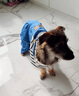 阿莫爾狗狗衣服秋冬款可牽引四腳背帶褲泰迪比熊博美小型犬寵物貓咪服裝 藍(lán)色【可牽引】 XS(建議1-3斤具體參考胸圍背長(zhǎng)) 曬單實(shí)拍圖