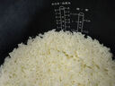 摩飛電器（Morphyrichards）【國家補貼】電飯煲 0涂層鈦內膽電飯鍋4L大容量3-4人家用煮飯鍋 IH加熱微壓可預約煮粥鍋MR8503白 曬單實(shí)拍圖