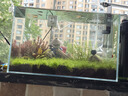 BIOZYM百因美魚(yú)缸硝化細菌150ml活性消化細菌水族藥劑凈水除氮氣非魚(yú)藥 曬單實(shí)拍圖