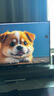 FFALCON雷鳥32U8 31.5英寸4K165Hz 1400分區(qū)QD-MiniLED高刷電競游戲顯示器 Type-C90W 旋轉(zhuǎn)升降辦公電腦顯示屏 曬單實拍圖