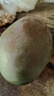 【新鮮上市】正宗攀枝花凱特芒果新鮮水果 帶箱2斤200g+ 曬單實(shí)拍圖