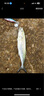 民間藝人魚(yú)線(xiàn)主線(xiàn)200米德國進(jìn)口原絲尼龍釣魚(yú)線(xiàn)海竿路滑磯釣漁線(xiàn) 曬單實(shí)拍圖