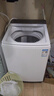 小天鵝（LittleSwan）波輪洗衣機全自動(dòng) 12公斤大容量 小烏梅輕奢版【TB12VE20DW】水魔方防纏繞 家電國家補貼20% 曬單實(shí)拍圖