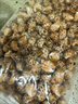 花螺海鮮鮮活新鮮冷凍批發(fā)特大號海螺東風貝類海鮮水產(chǎn)田螺類即食 花螺中號半斤【40-50個/斤】 曬單實拍圖