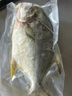 翔泰 海南大規(guī)格金鯧魚550g1條 海魚 生鮮魚類 火鍋 海鮮水產(chǎn) 曬單實(shí)拍圖