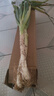 農家自種精品山東大蔥特級新鮮鐵桿長(cháng)白蔥農家毛蔥香蔥現挖便宜 山東大蔥（帶老皮）帶箱 1斤 曬單實(shí)拍圖