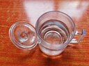 青蘋果泡茶杯帶蓋 無(wú)鉛玻璃把手水杯玻璃杯商務(wù)會(huì)議家用350ML兩只裝 曬單實(shí)拍圖