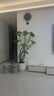 臨雅鴨腳木客廳大盆栽室內(nèi)陽臺(tái)造型綠植物鴨掌木鵝掌財(cái)落地式大型擺件 造型鴨腳木1.4-1.6米+米白聚寶 曬單實(shí)拍圖