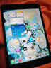 Apple蘋(píng)果ipad9/10/Pro2022/21/20款 /air5/mini7/6二手平板電腦 iPad mini4 曬單實(shí)拍圖