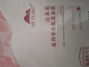植物醫(yī)生山茶花盈潤補(bǔ)水保濕面膜補(bǔ)水養(yǎng)顏去暗沉學(xué)生保濕潤護(hù)鎖水20片 曬單實(shí)拍圖