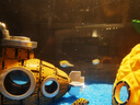 闊庭（KUOTING）魚(yú)缸水族箱生態(tài)桌面魚(yú)缸新款懶人魚(yú)缸生態(tài)造景過(guò)濾制氧一體機(jī)黑色 曬單實(shí)拍圖