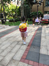 迪士尼幼兒園書(shū)包男女孩大小班可愛(ài)外出雙肩包小防走失背包 st80246紅黃 曬單實(shí)拍圖