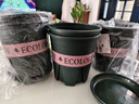 九千谷花盆加侖盆塑料花盆家用園藝種植小花盆帶托盤14*14cm 2個裝5051 曬單實(shí)拍圖