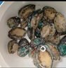 江船長 冷凍鮑魚 凈重160g(18-22粒)袋裝 火鍋燒烤食材 海鮮生鮮 曬單實(shí)拍圖