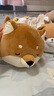 名創(chuàng)優(yōu)品（MINISO）柴犬系列毛絨公仔趴姿玩具娃娃抱枕睡覺室內(nèi)臥室辦公室生日禮物 曬單實拍圖