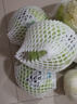 小湯山 北京 圓白菜 500g 基地直供新鮮蔬菜 曬單實(shí)拍圖