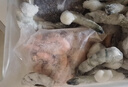 北極甜蝦 1.5kg 1.5kg(凈重) 曬單實(shí)拍圖