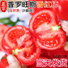 京地達(dá)西紅柿山東普羅旺斯西紅柿凈重4.5斤 單果120g+ 蔬菜源頭直發(fā)包郵 曬單實(shí)拍圖