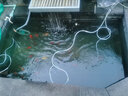 海甲衛 HAKAWIN魚(yú)缸增氧泵充電式 家用魚(yú)缸氧氣泵大氣量 戶(hù)外釣魚(yú)氧泵 AT661 曬單實(shí)拍圖