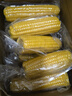 京鮮生 東北小糯九黃糯玉米150g*10棒 新鮮甜糯玉米棒真空包裝 源頭直發(fā) 曬單實拍圖