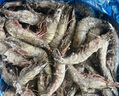 Member's Mark 泰國進(jìn)口 生冷凍黑虎蝦 2kg (約31-40只/每千克) 2kg(凈重) 曬單實(shí)拍圖